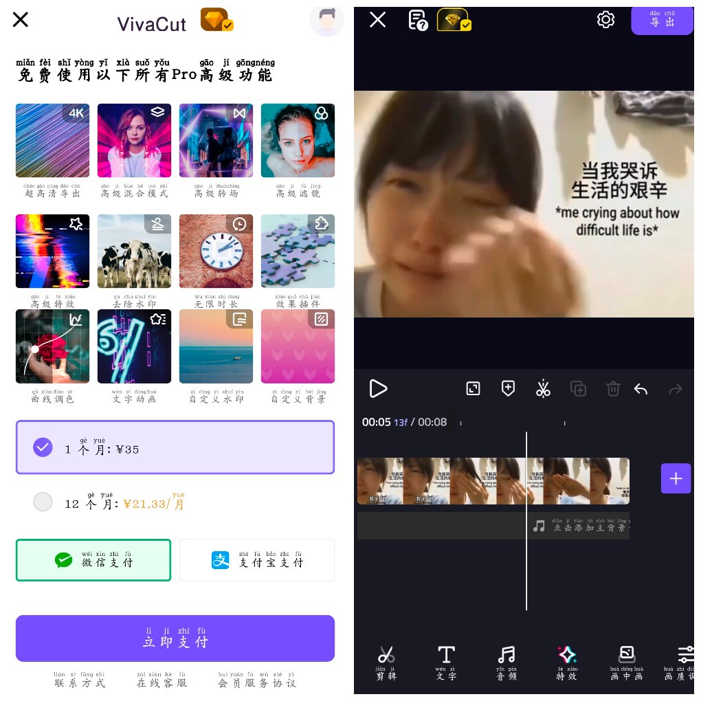 VivaCut视频剪辑v3.9.9会员版&ensp;&ensp;一款专业的视频编辑器 图1